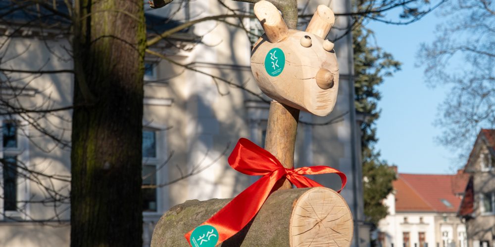 Licytuj jelonka od RCAK na WOŚP!